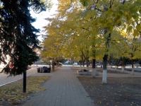 Осеннее утро на Петровском Осеннее утро на Петровском